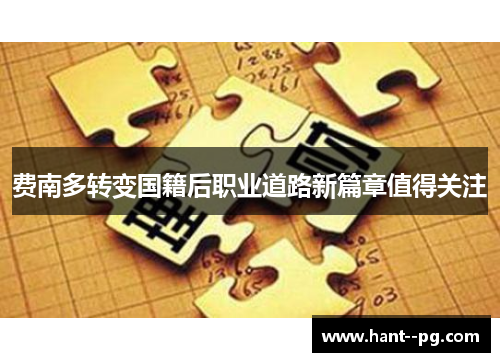 费南多转变国籍后职业道路新篇章值得关注