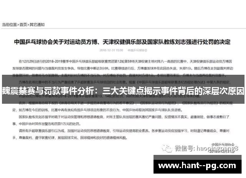 魏震禁赛与罚款事件分析：三大关键点揭示事件背后的深层次原因