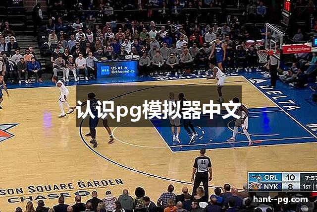 认识pg模拟器中文